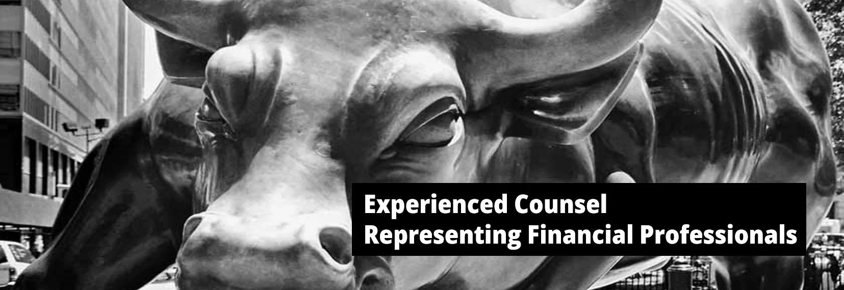 Black and white photo of Wall Street bull with the words Experienced Counsel Representing Financial Professionals